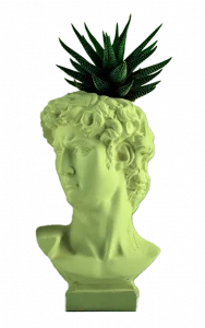 busto 2